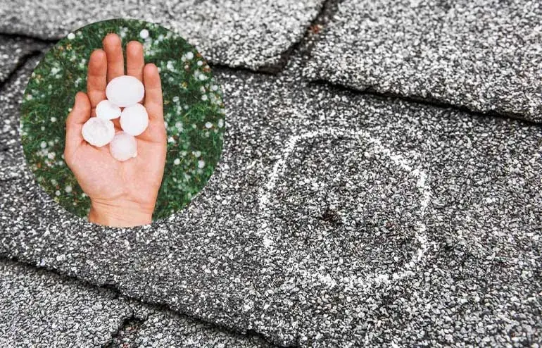 Why Is Your Asphalt Shingle Roof Failing?